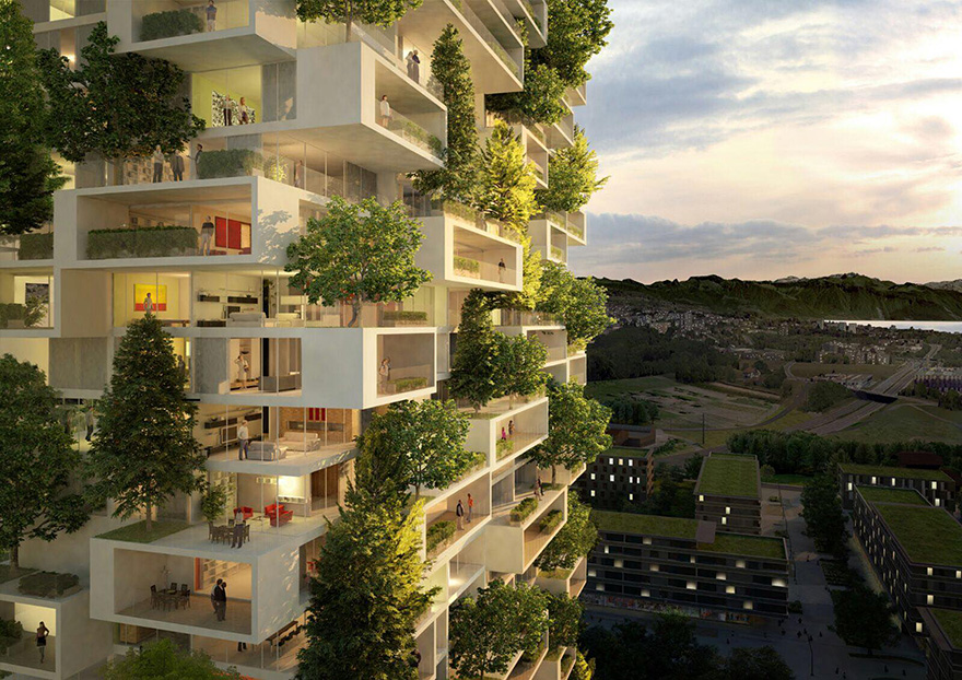 伊斯坦布尔氧气：土耳其绿色建筑革命的核心