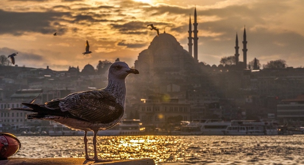 Необычные места Стамбула 