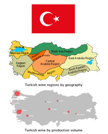 Turkish wine production