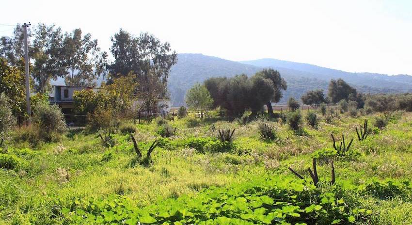 Bodrum land for sale