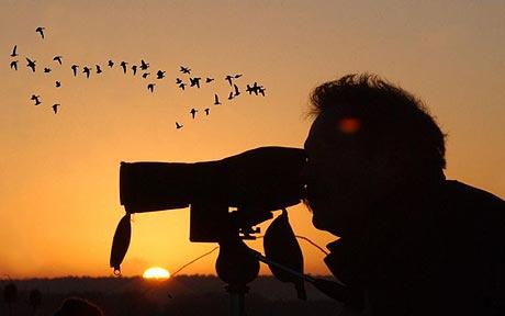 Birdwatching in Turkey