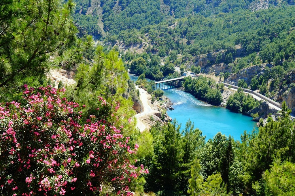 Flora and fauna of Turkey