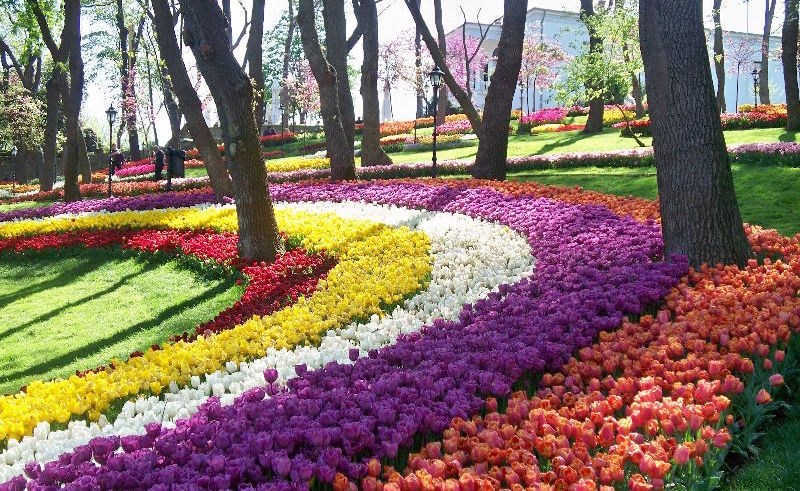 Istanbul Tulip Festival