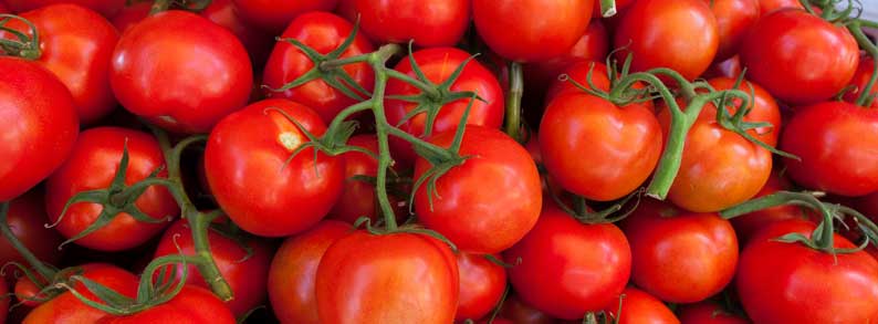 Turkish tomatoes