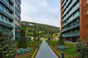 Complex with communal gardens